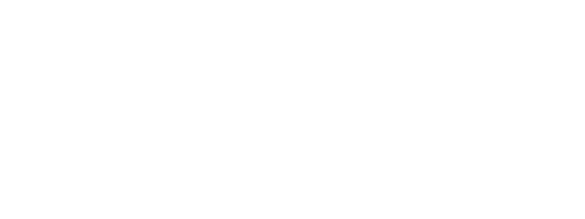 Signature Construction Logo white